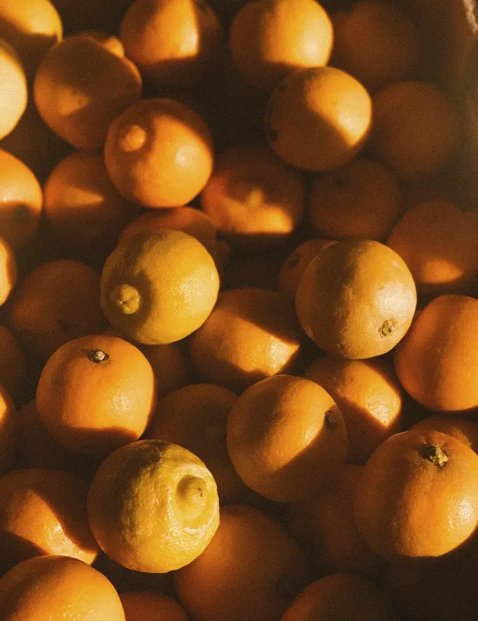 Sand + Paws Golden Citrus 12 Oz Scented Candle - Image 2